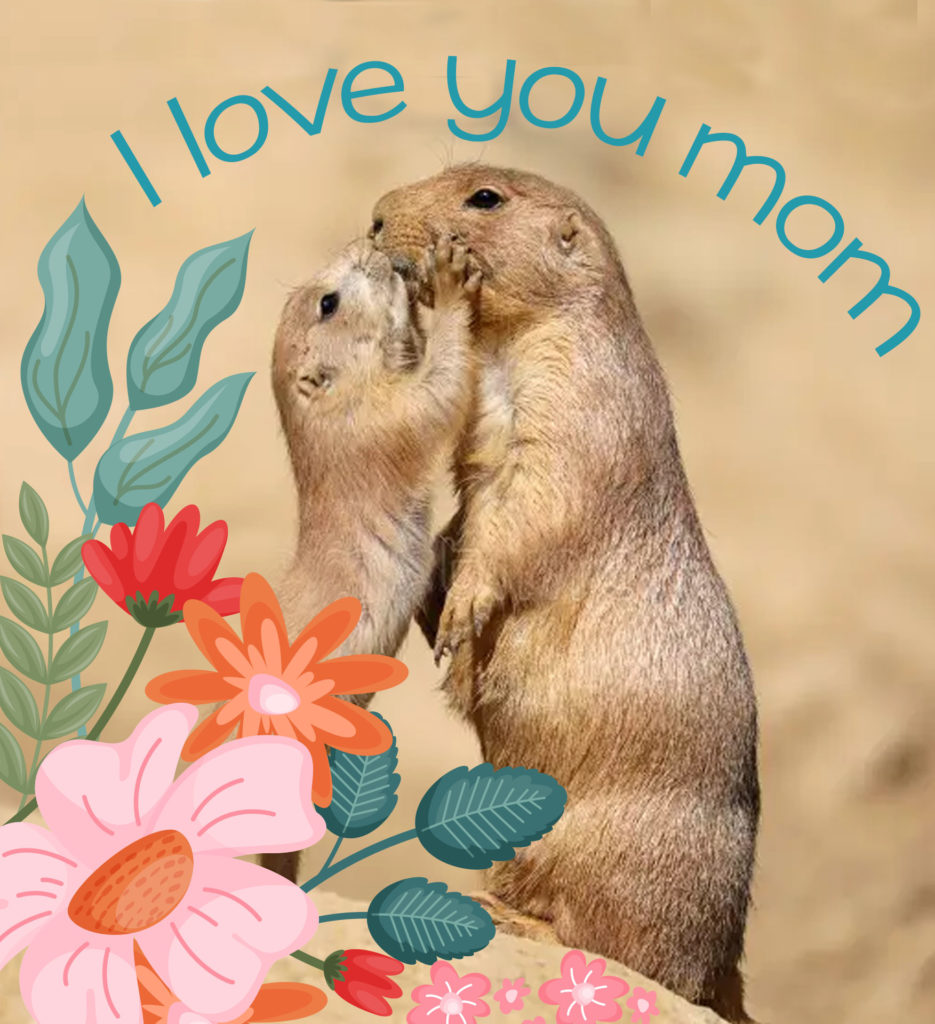 Happy Mother's Day Prarie Dogs